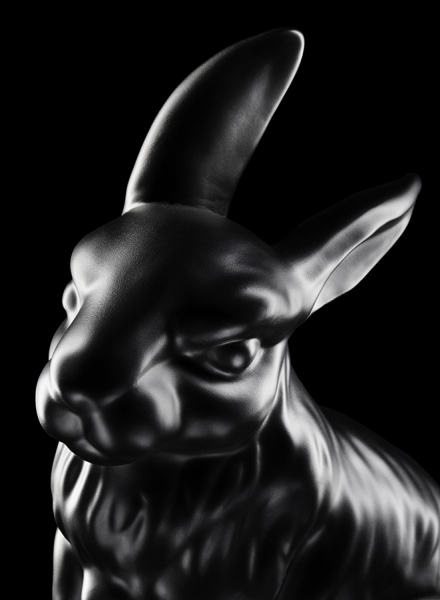 Photograph Tal Silverman Rabbit on One Eyeland